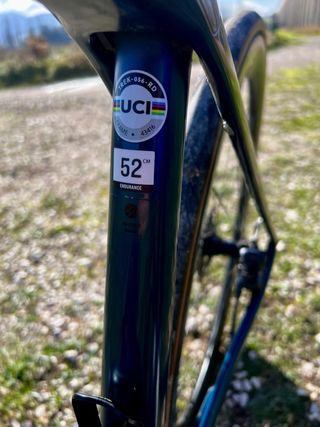 Bicicleta Carretera TREK Domane SL6