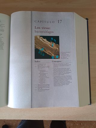 Microbiologia 5ª edición. Medicina