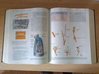 Microbiologia 5ª edición. Medicina