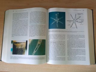 Microbiologia 5ª edición. Medicina