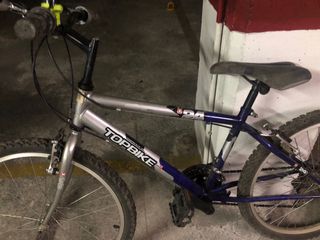 Bicicleta juvenil TOPBIKE 24 plateada