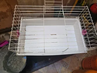 Jaula conejos semi nueva