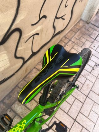 Bicicleta B-Pro Infantil Verde