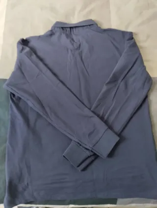 Camisa Tommy Hilfiger azul manga larga