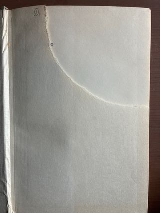 La cultura y el mundo visual