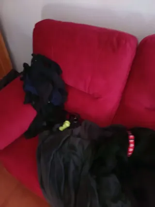 Sofá de 2 plazas rojo