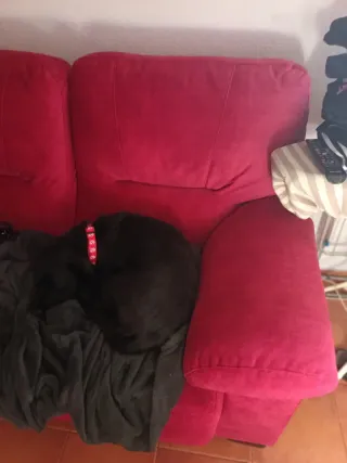 Sofá de 2 plazas rojo