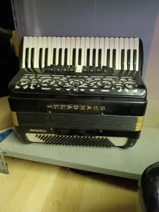 Fisarmoniche Professionali