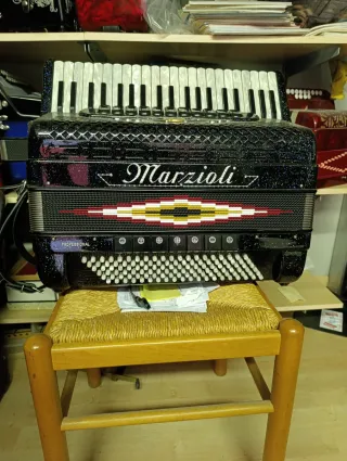 Fisarmoniche Professionali