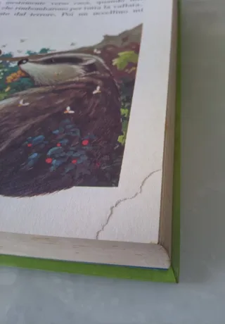 Fiabe e Storie del Bosco Incantato Illustrato