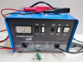 Cargador Bateria Coche/Camion 12V/24V- 100/240 Ah