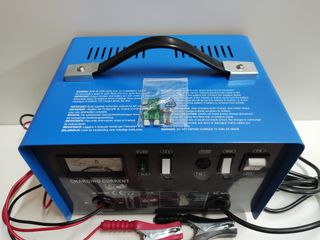 Cargador Bateria Coche/Camion 12V/24V- 100/240 Ah