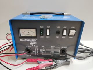 Cargador Bateria Coche/Camion 12V/24V- 100/240 Ah