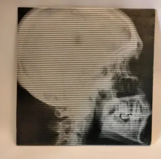 Vinilo D'Arcangelo Shipwreck(Rephlex)(1999)