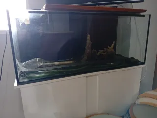 Acuario 150L con calentador y filtros iluminacion