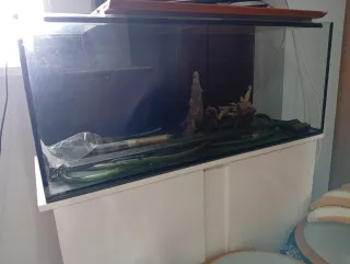 Acuario 150L con calentador y filtros iluminacion