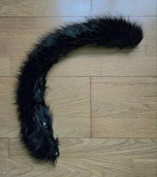 Chaqueta Invierno Zara Negra y Rosa.