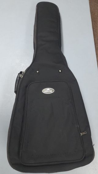 Guitarra Acústica Ibañez V50NJP-NT