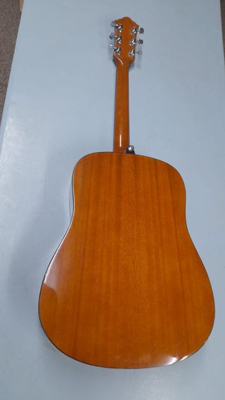 Guitarra Acústica Ibañez V50NJP-NT