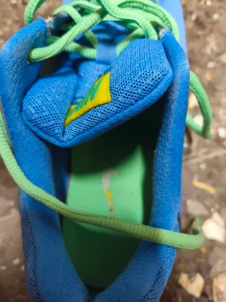 Zapatillas Nike Azules y Verdes