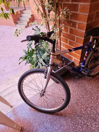 Bicicletas Niños 26 pulgadas las dos 60 euros una