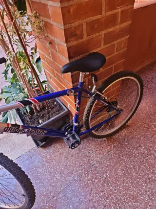 Bicicletas Niños 26 pulgadas las dos 60 euros una
