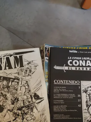 La espada salvaje de conan