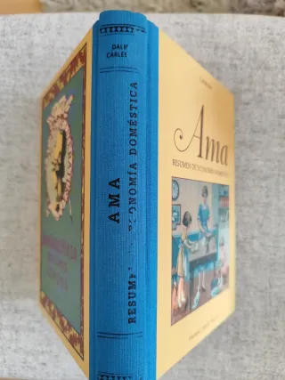 Ama, resumen de la economía doméstica