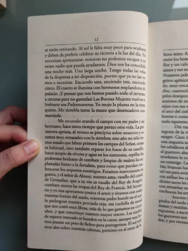 Historia del Rey Transparente, Rosa Montero
