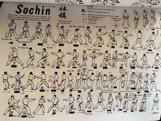 VEINTICINCO SHOTOKAN KATAS DE KARATE