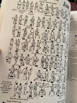 VEINTICINCO SHOTOKAN KATAS DE KARATE