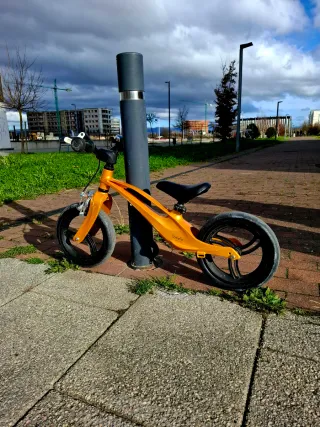 Bicicleta infantil Lionelo con freno