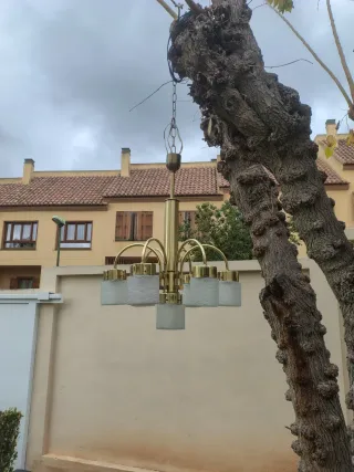 Lámpara vintage Gaetano Sciolari 7 tulipas