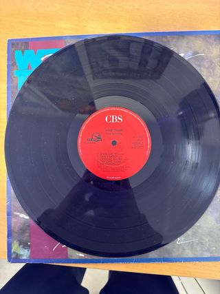 Wire Train - Ten Women Vinilo