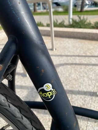 Bicicleta de paseo grande