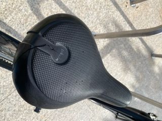 Bicicleta de paseo grande