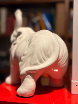 Elefante portafortuna salvadanaio bianco