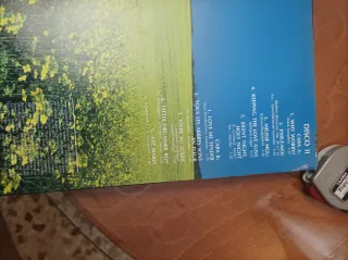 Vinilo Nana Moskouri