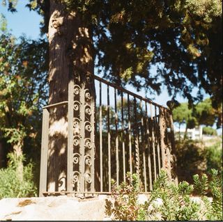 Yashica MAT124G Cámara Analógica TLR