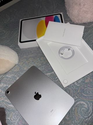 iPad 10ª Gen Argento, con custodia originale Apple