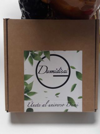 Pendientes Dumidusai Metacrilato y Plata