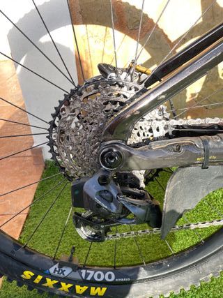 Orbea Wild Talla M. 550km. Carbono. Batería 750