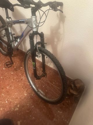 Bicicleta GT Avalanche 3.0 Aluminio