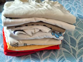 Lote 9 Camisetas Variadas Talla XS