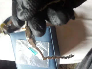 Reloj suizo vintage plata y blanco