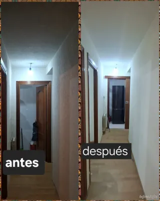 pintor profesional economico