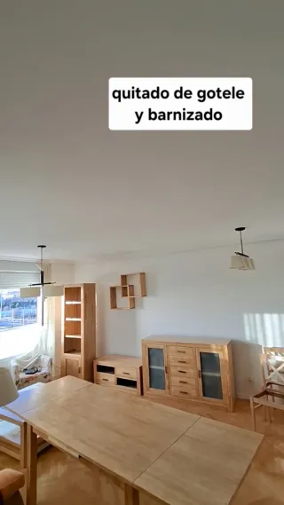 pintor profesional economico