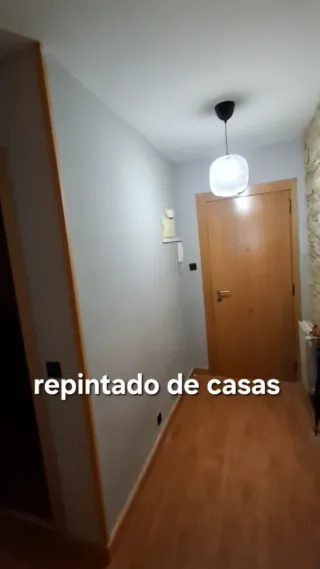 pintor profesional economico