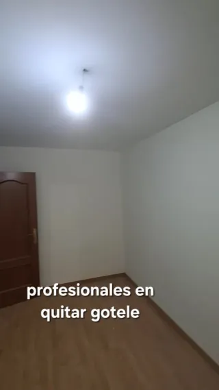 pintor profesional economico