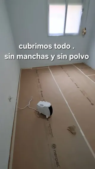 pintor profesional economico